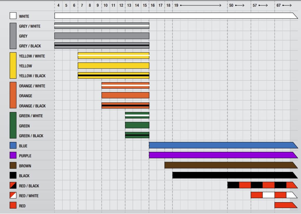 IBJJF belt system